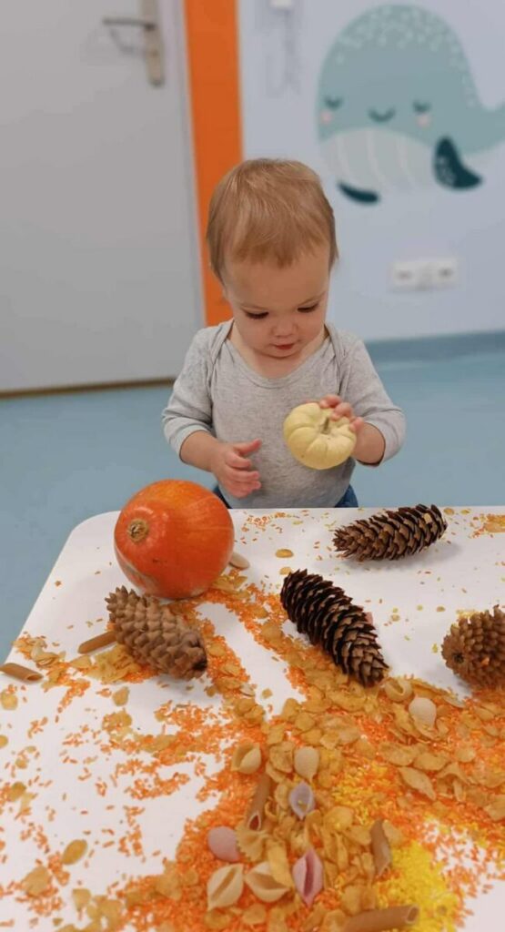 573862140_1372085851577395_6263303219191441207_n